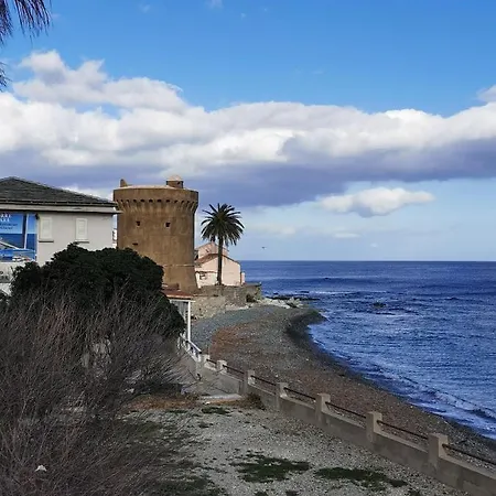 Santa Maria Di Lota Spacieux A 100m De La Plage Ref Bia 49021 Apartamento *